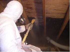 removing mould from wood